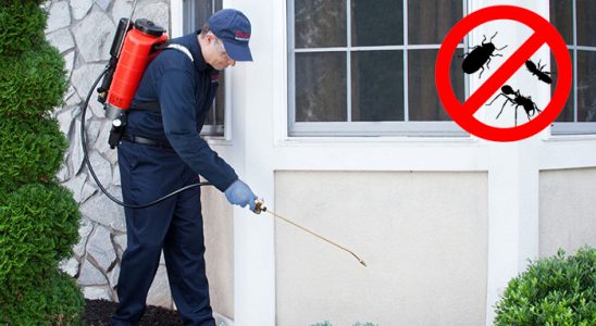 Yedisu Gümüşkurt İlaçlama böcek ilaçlama ve haşere kontrolü — ilaclama-tr.com